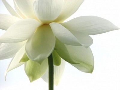 豊かさ　人生　成功　夢　理想　叶える　お金　希望　目標達成