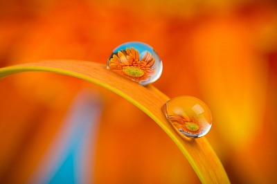 豊かさ　豊かに生きる　成功　発信　起業　経験　実現　理想　夢　叶える　お金